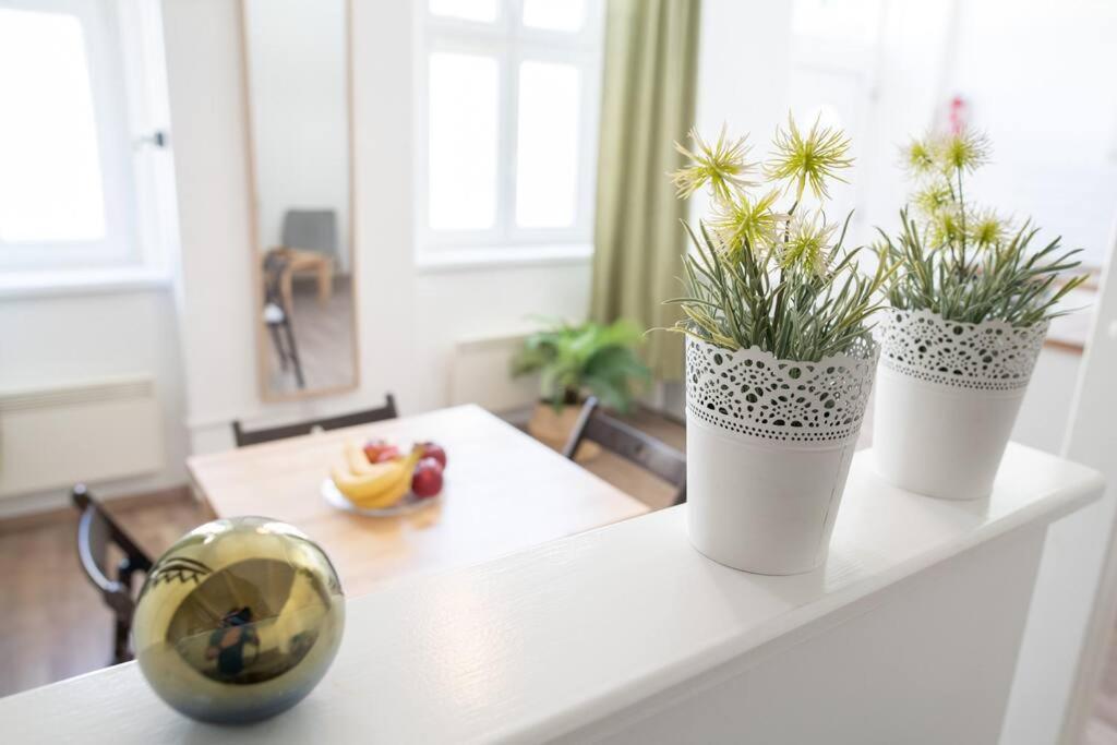 N28 Studio Next To Andrassy Boulevard. บูดาเปสต์ ภายนอก รูปภาพ